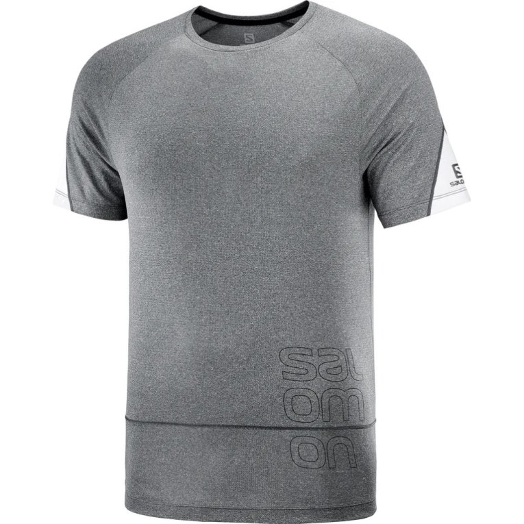 Grey Salomon Cross Run Graphic Short Sleeve Men's T-Shirts | PH 90327N